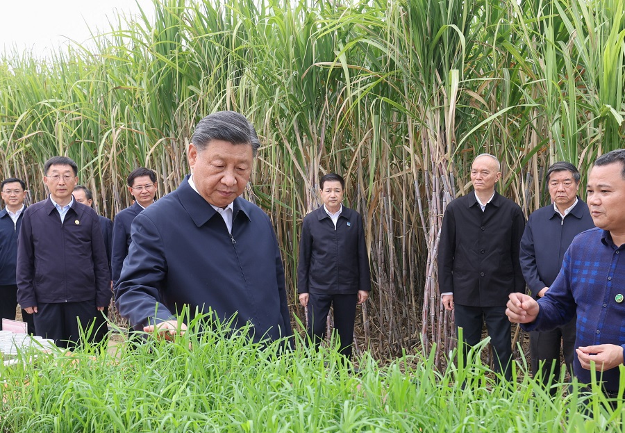 赏金女王