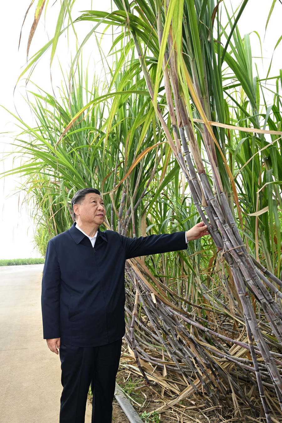 赏金女王