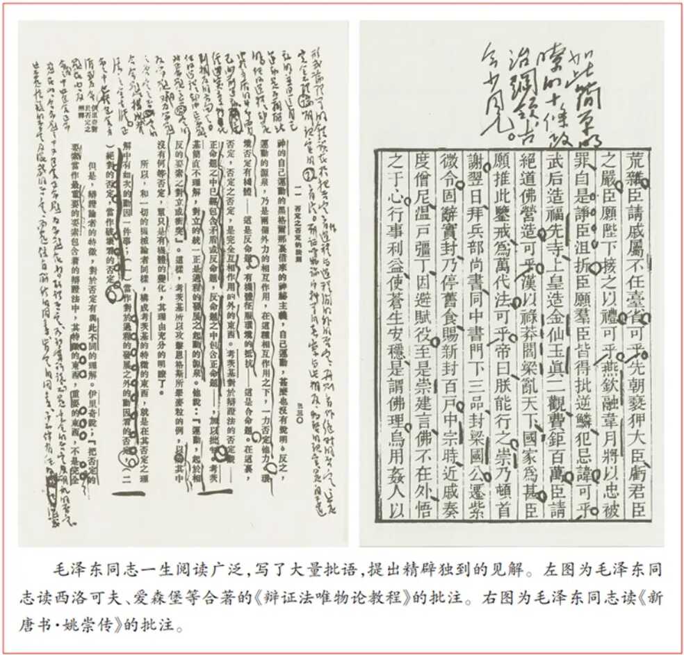 赏金女王